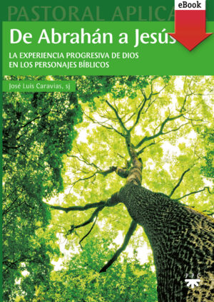 De Abrahán a Jesús (ePub) De Abrahán a Jesús (ePub)