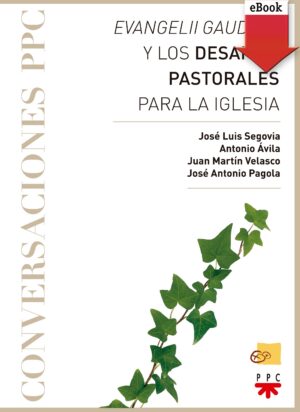Evangelii gaudium y los desafíos pastorales para la Iglesia (ePub) Evangelii gaudium y los desafíos pastorales para la Iglesia (ePub)