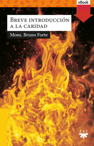 Breve introducción a la caridad (ePub) Breve introducción a la caridad (ePub)