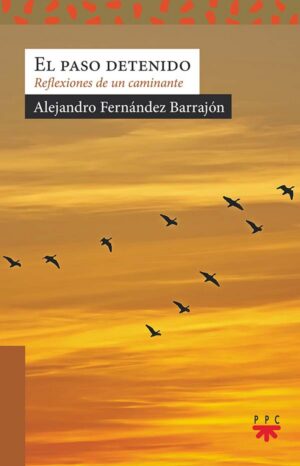 Portada del producto:  El paso detenido