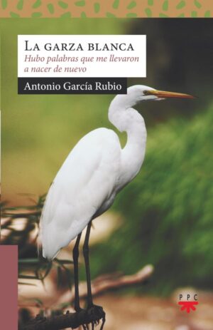 La garza blanca La garza blanca