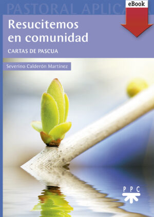 Resucitemos en comunidad (ePub) Resucitemos en comunidad (ePub)