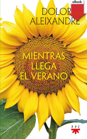 Portada del producto:  Mientras llega el verano (ePub)
